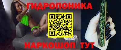 гашик Пугачёв